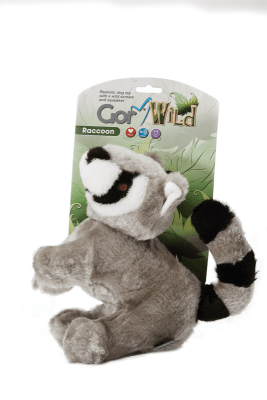 Gor Wild Raccoon