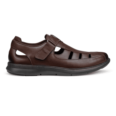 Hotter Marlin Men's Fisherman Shoe - Chocolate STD
