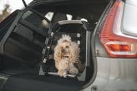 Thule Allax Dog Crate XS - Clearance