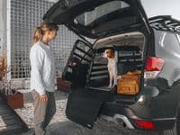 Thule Allax Dog Crate XXL Compact