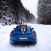 TreeFrog 365 Ski & Snowboard Carrier Rack - Suction Mounted