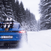 TreeFrog 365 Ski & Snowboard Carrier Rack - Suction Mounted