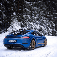 TreeFrog 365 Ski & Snowboard Carrier Rack - Suction Mounted