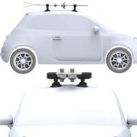 TreeFrog 365 Ski & Snowboard Carrier Rack - Suction Mounted