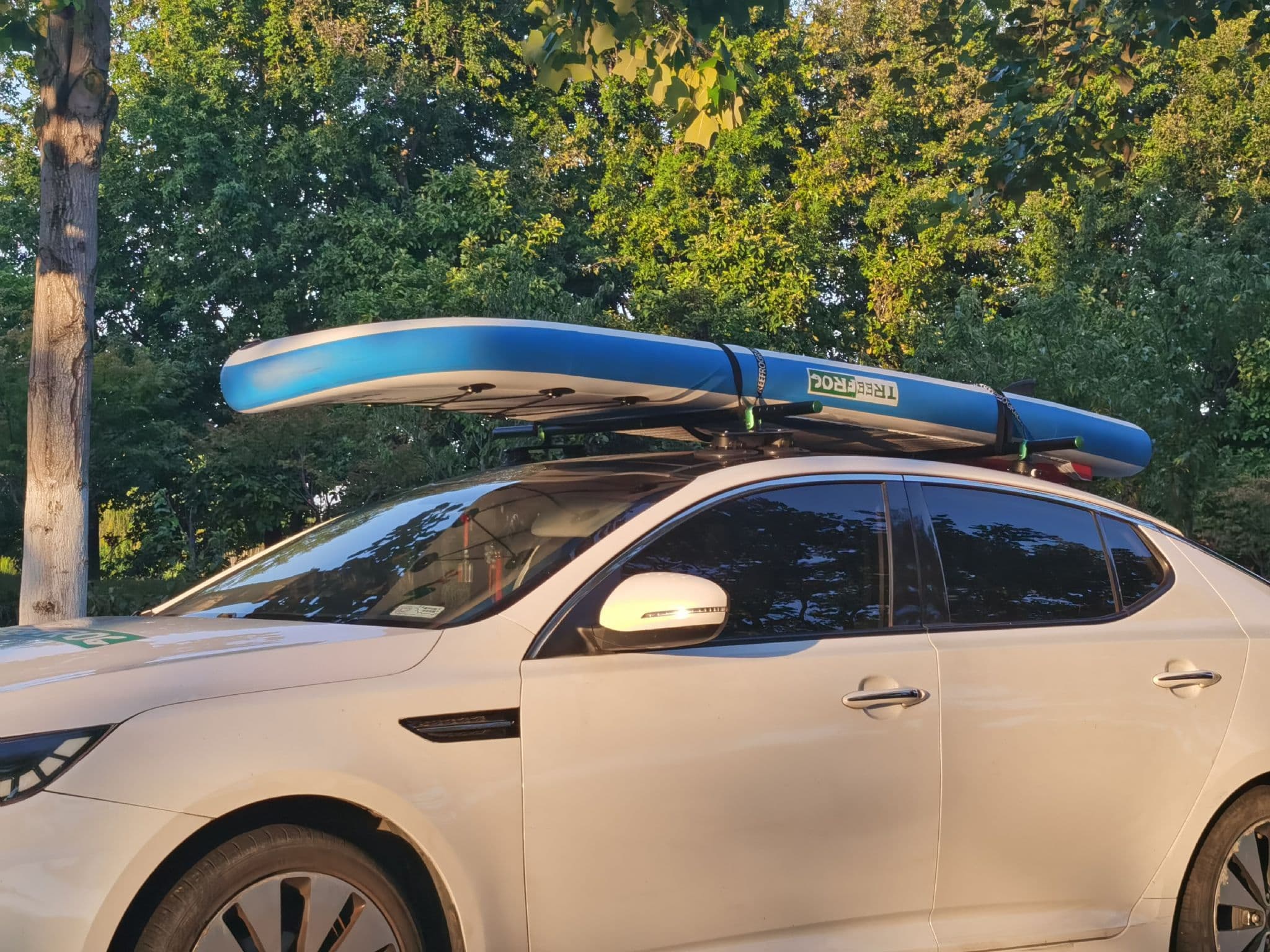 TreeFrog Suction Mounted Roof Rack Cross Bars Foldable