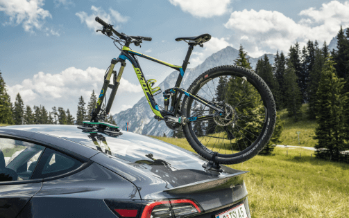 TreeFrog Bike Rack