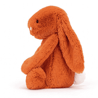 Bashful Tangerine Bunny