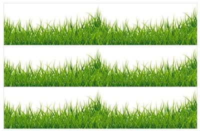 Grass Edible Icing Ribbon Precut x 3 strips