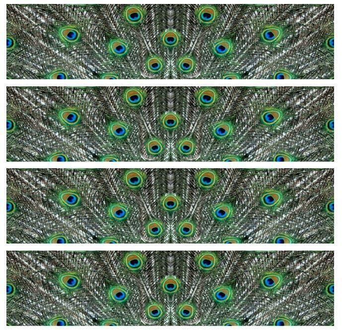 Peacock Feathers Edible Icing Ribbon Cake Decoration 4 Strips