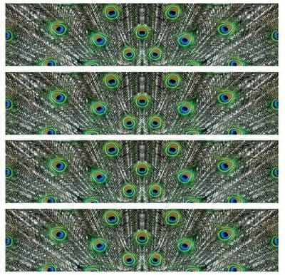Peacock Feathers Edible Icing Ribbon Cake Decoration 4 Strips