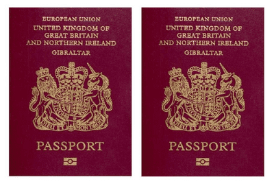 Travel Passport  for Cakes Edible Icing Decoration