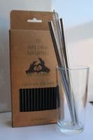 1 Reusable Metal Straw