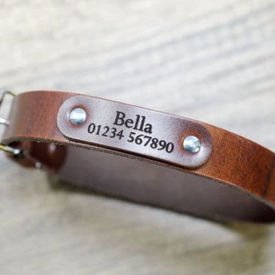 Personalised Dog Collars