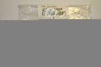 Genuine Toyota Hilux Plastic Registration Plate Moudling for Rear Bumper 52179-0K010, 521790k010
