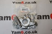 Genuine Toyota Hilux Plastic Registration Plate Moudling for Rear Bumper 52179-0K010, 521790k010