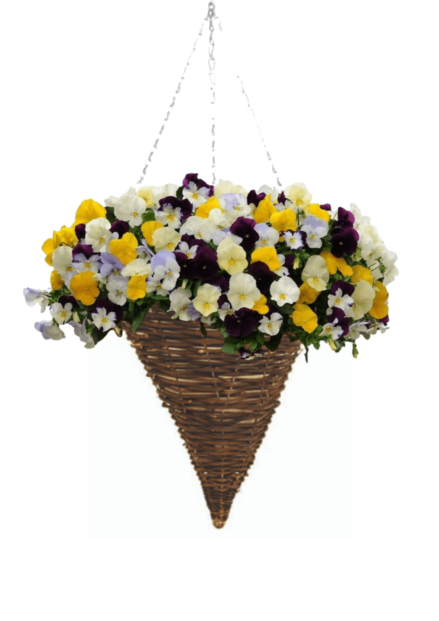 PRE ORDER Autumn Black Rattan Hanging Basket Cone 12" /14"