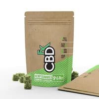 CBDFX - CBD Gummy Bears with Turmeric & Spirulina 40mg (8ct Pouch)