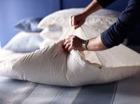 DEVON DUVETS -  2 Fold Wool Pillow