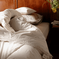 Devon Duvets Mediumweight Wool Duvet (Winter)   600gsm/8-14 TOG