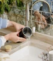 Dualit - Handheld Milk Frother