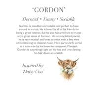 Highland  Cow - Plush Large (Gordon)