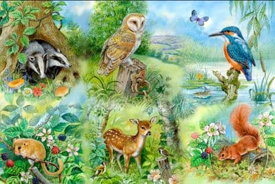 House of Puzzles - Nature Study  (250pce LGE)