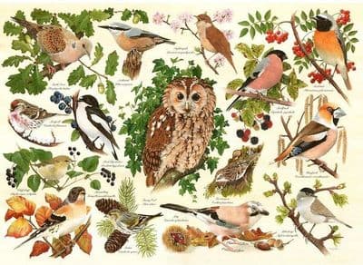 House of Puzzles - Woodland Birds (500pce LGE)