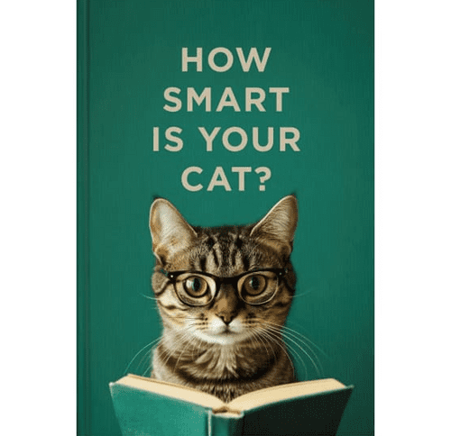 How Smart is Your Cat