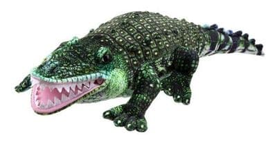 Large Animal - Alligator