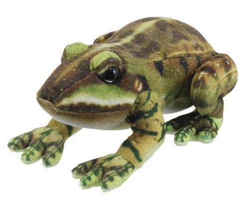 Little Creatures - Frog (Green)