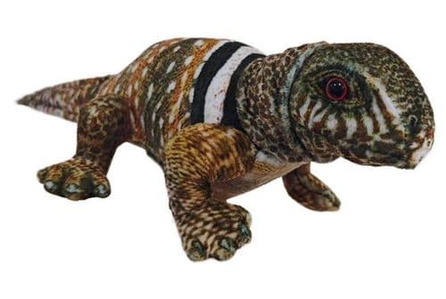 Little Creatures - Lizard