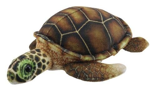 Little Creatures - Turtle