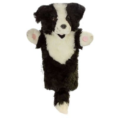 Long Sleeved Border Collie
