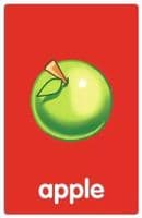 My First Flash Cards