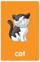 My First Flash Cards