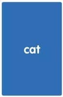 My First Flash Cards