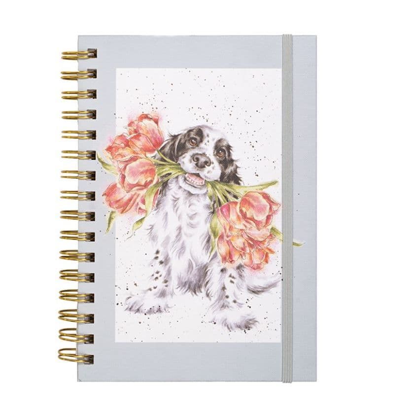 Notebooks