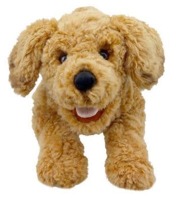 Playful Puppies - Cockapoo