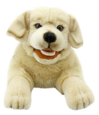 Playful Puppies - Yellow Labrador