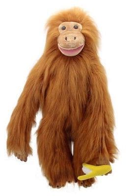 Primate - Orangutan (Large)