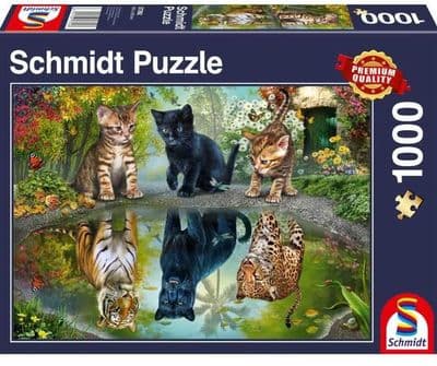 Ravensburger - Dream Big (1000 pc)