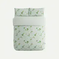 SANDERSON - Oleander Aqua SET
