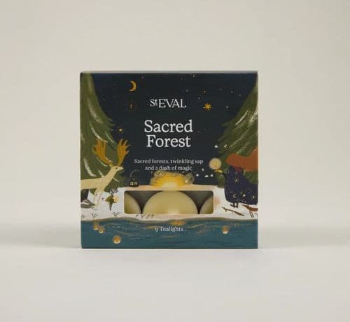 St Eval - Scented Tealights Christmas Sacred Forest