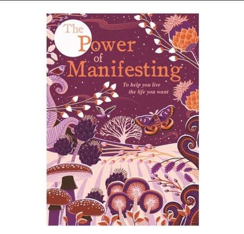 The Power of Manifesting