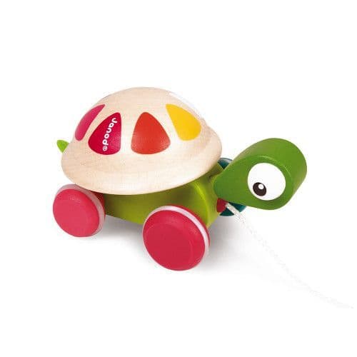 Zigolos Pull along Turtle (Janod)