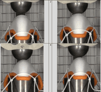 Ayrtek Cricket Groin Guard - ProTek  Groin Guard