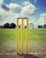 Custom Cricket Stumps