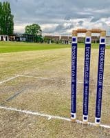 Custom Cricket Stumps