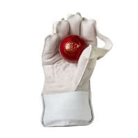 GM PRIMA 909 - Wicket Keeping Gloves (Mens)