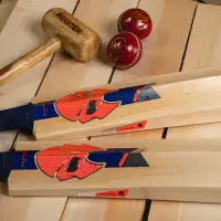Phantom Cricket- Illusion Cricket Bat- Pro-R (2.10.7oz)